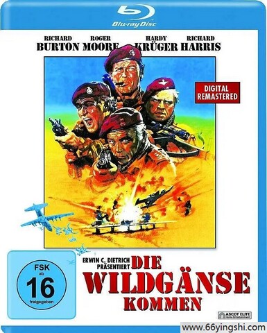 野鹅敢死队 poster