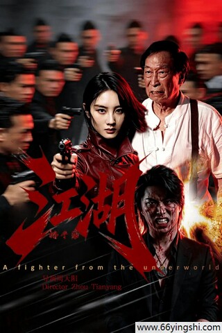 江湖格斗家 poster