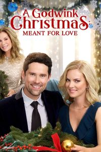 A Godwink Christmas: Meant For Love poster