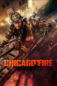 Chicago Fire - Season 14 poster