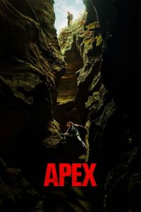 Apex poster