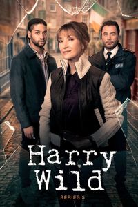 Harry Wild - Season 5 poster