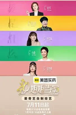 姐姐当家2 poster