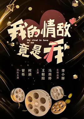 我的情敌竟是我 poster